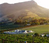Zorgvliet Wines Country Lodge, Stellenbosch